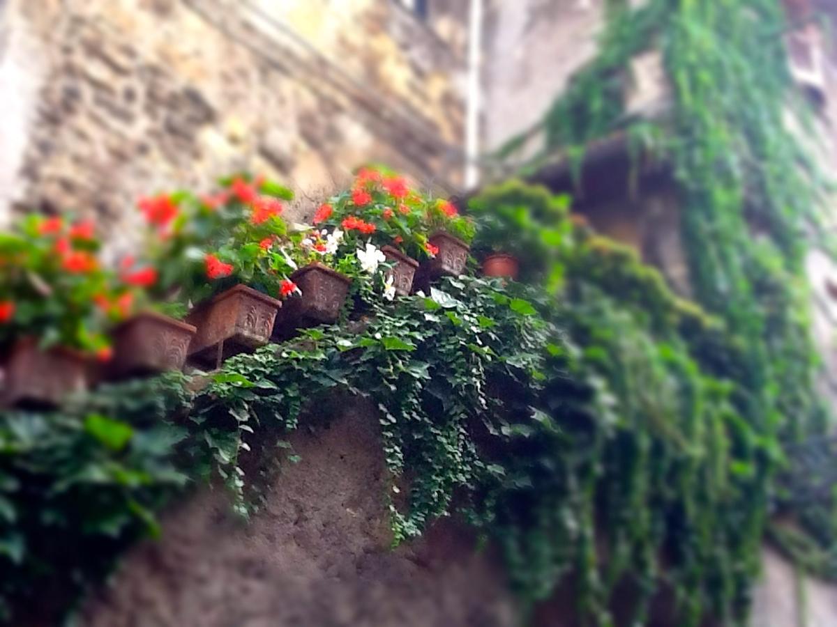 Bed and Breakfast La Scala Fiorita Ананьи Экстерьер фото
